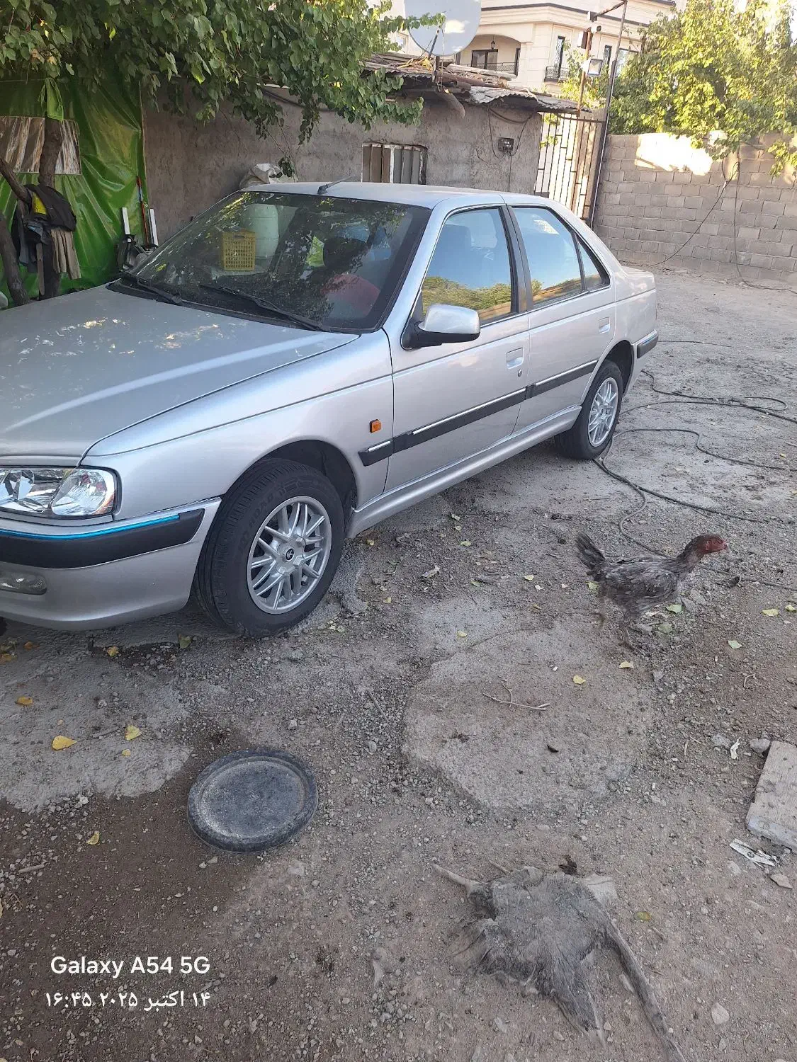 پرشیا ۸۴ سالم دوررنگ ب خاطر زیبایی|خودرو سواری و وانت|زنجان, |دیوار