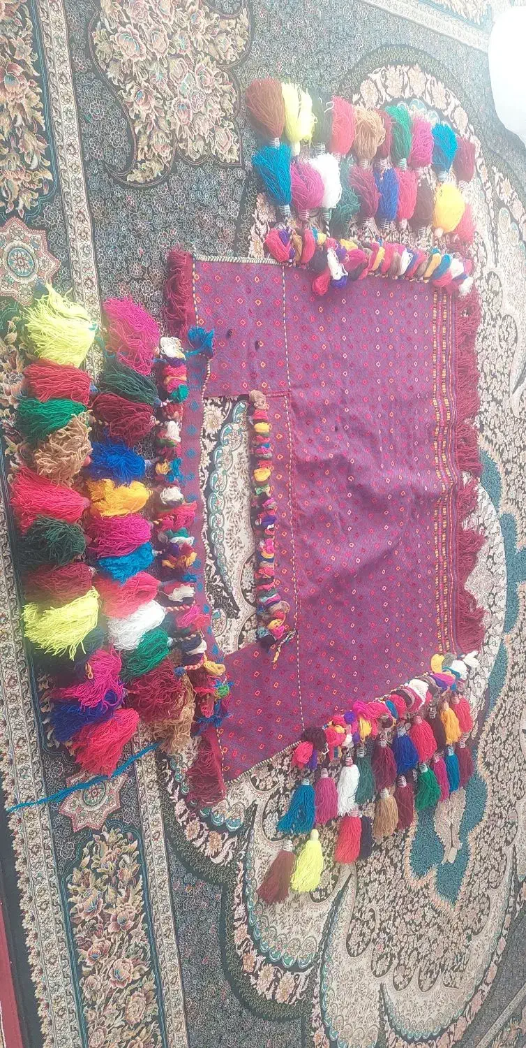 جل اسب|اسب و تجهیزات اسب‌سواری|شیراز, شهرک قمشه|دیوار