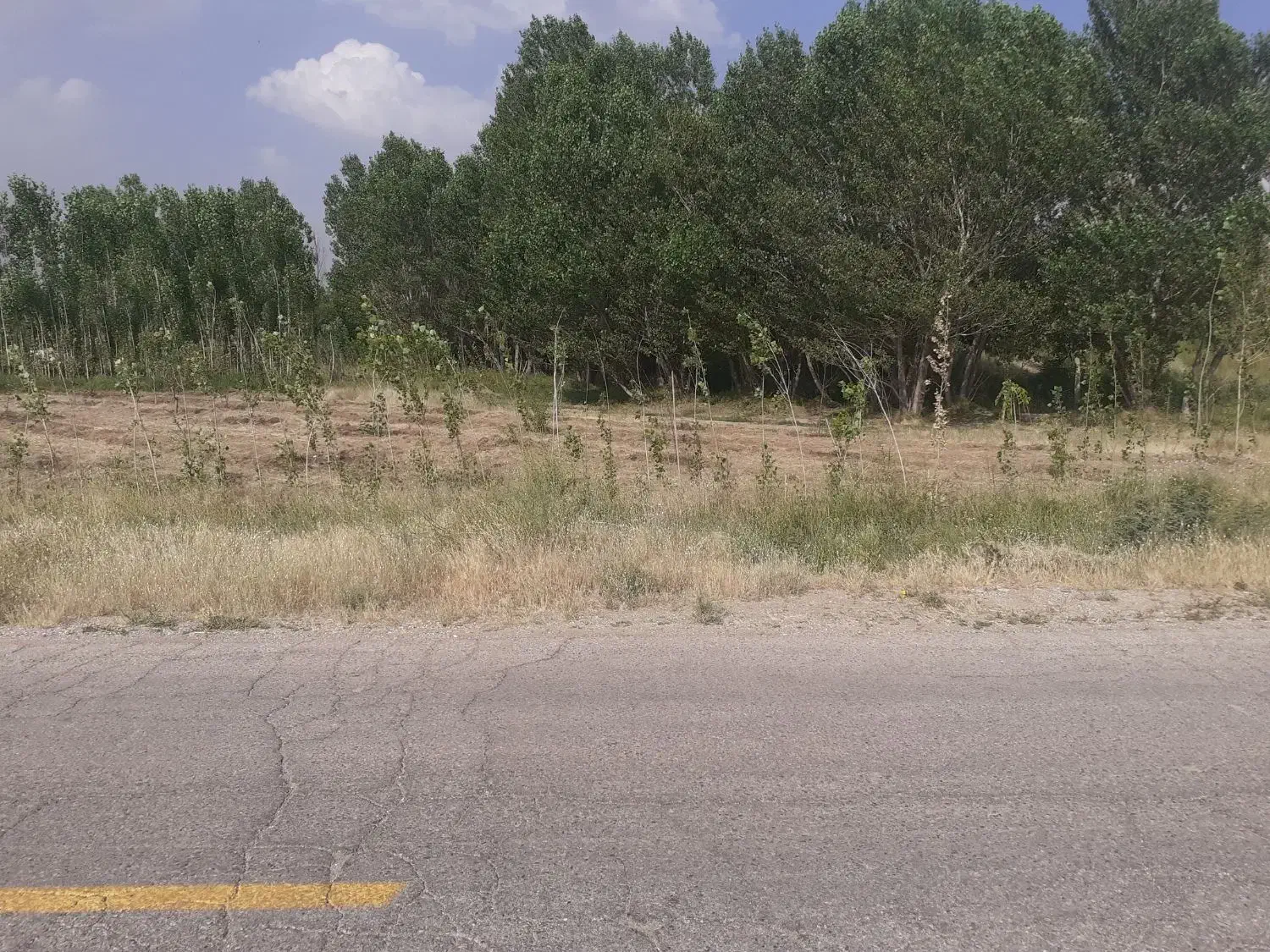 باغ لب جاده با سهمیه اب|فروش زمین و ملک کلنگی|بهار, |دیوار