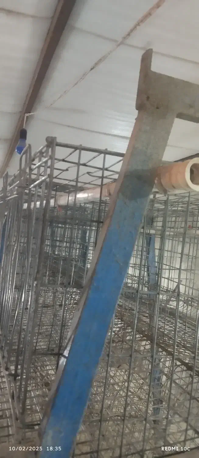 فروش فوری قفس مرغی منبری شش پایه هرپایه شش قفس|حیوانات مزرعه|مه ولات, |دیوار