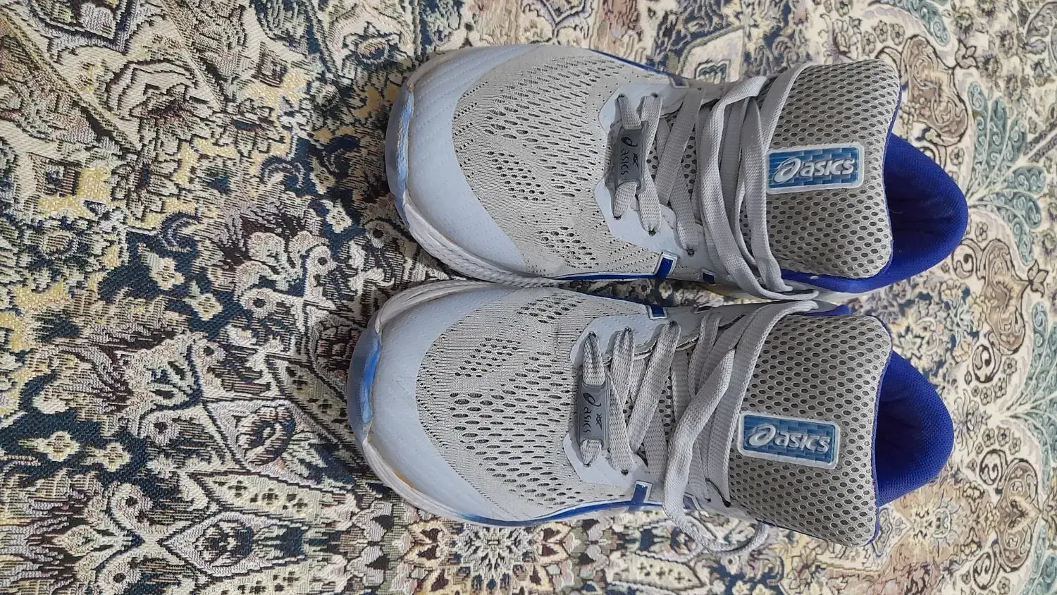 کفش والیبال درحد|تجهیزات ورزشی|خرمدشت, |دیوار