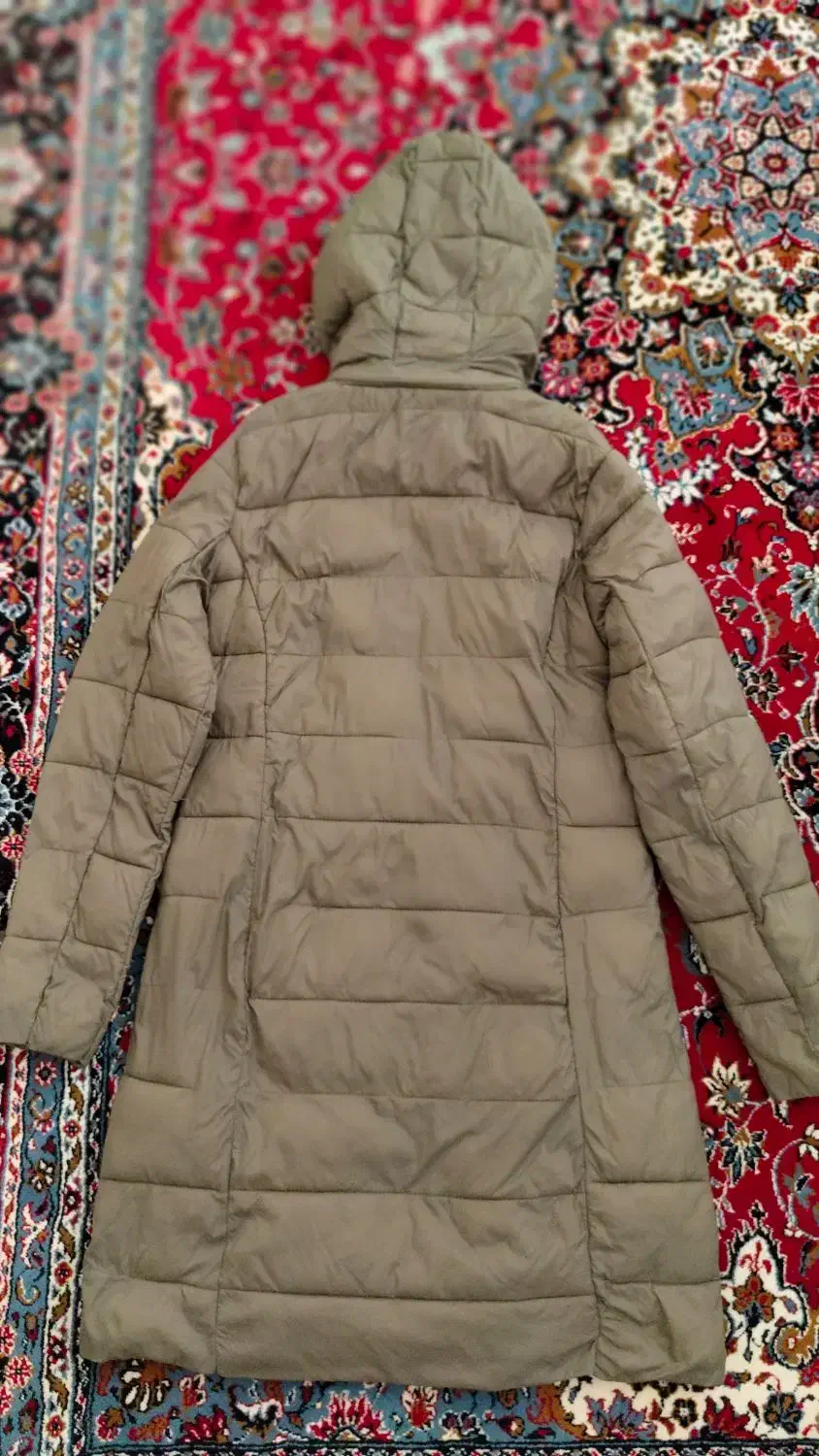 کاپشن زنانه جوتی جینز،سایزM،فقط دو بار استفاده شده|لباس|فولادشهر, B6|دیوار