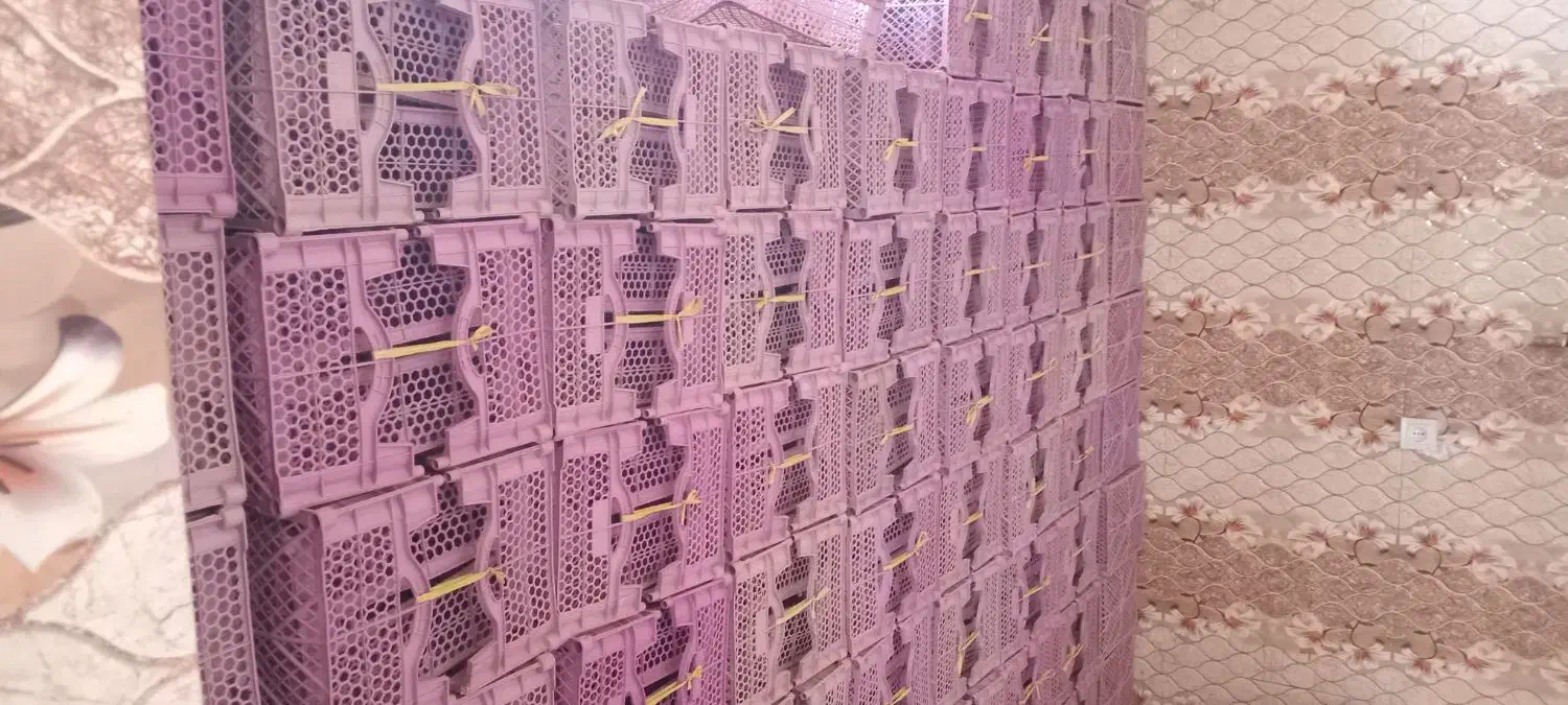 سبد میوه کوچک|ظروف نگهدارنده، پلاستیکی، یک‌بارمصرف|جهرم, |دیوار