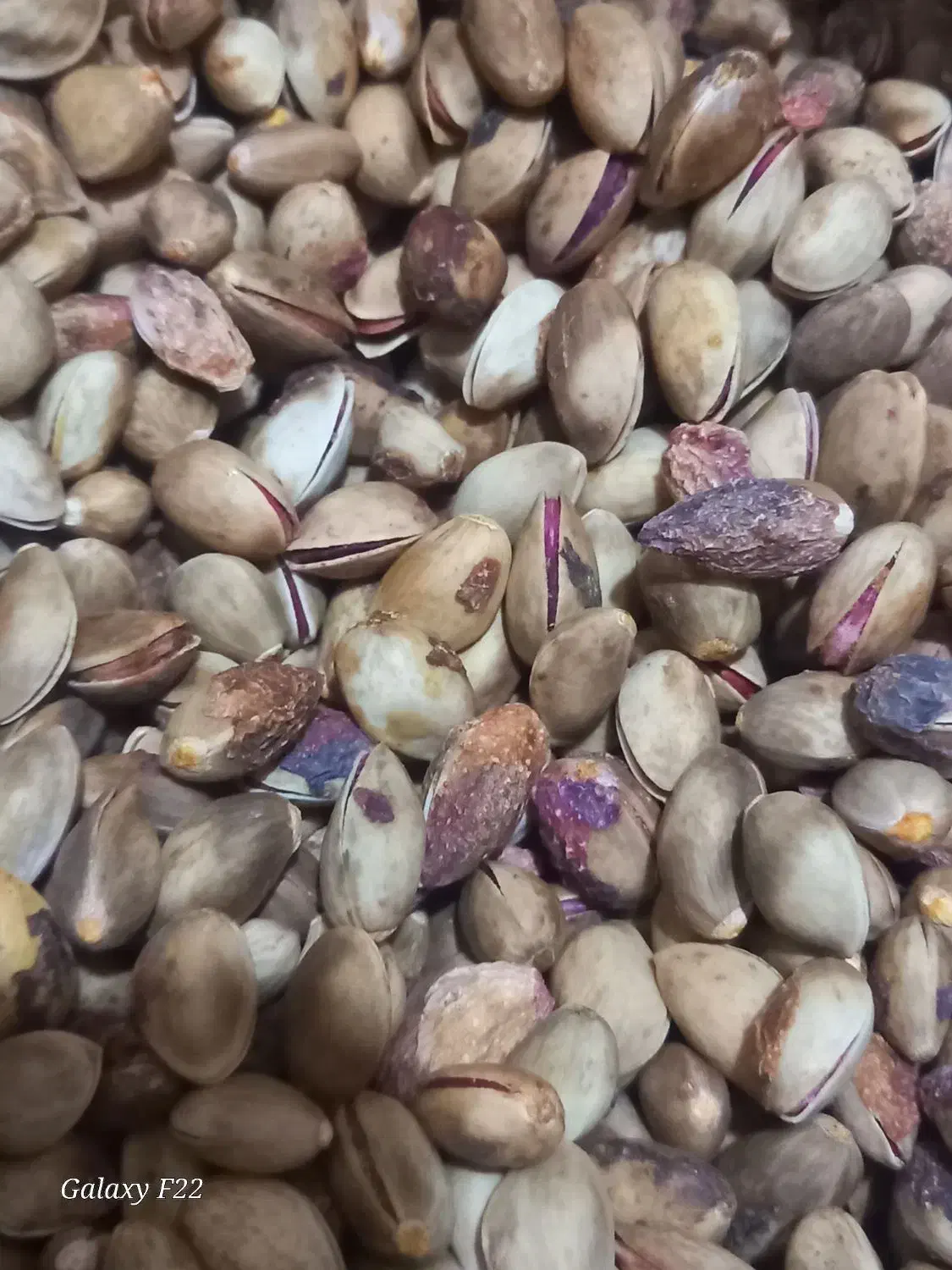 پسته کوهی خندون پسته جنگلی خندون پسته وحشی خندون|خوردنی و آشامیدنی|رضویه, |دیوار