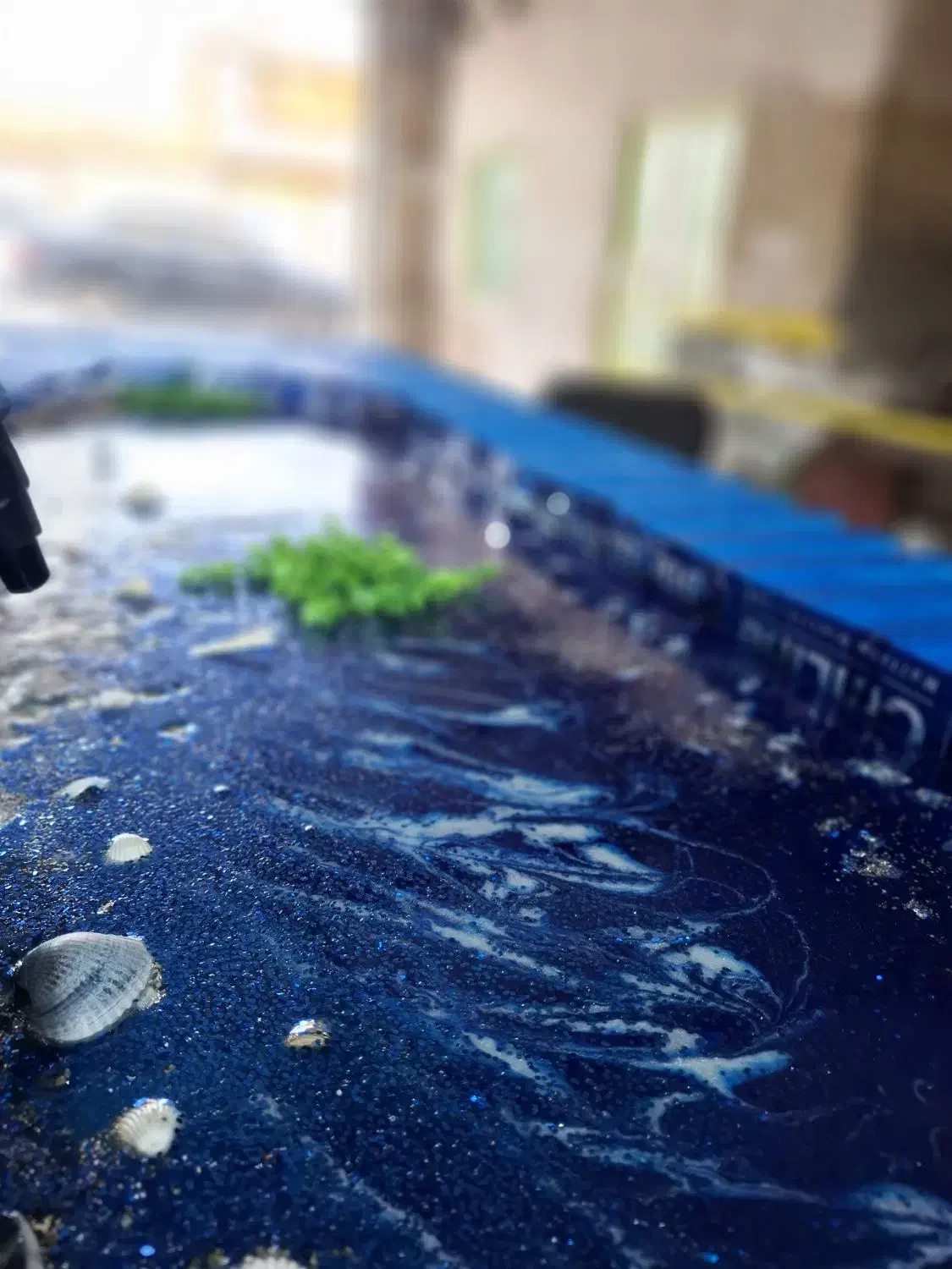 آموزش بامدرک|خدمات آموزشی|بندر ماهشهر, |دیوار