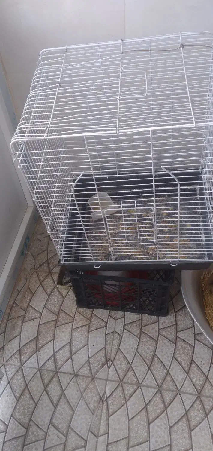 قفس|لوازم جانبی حیوانات|چرداول, |دیوار