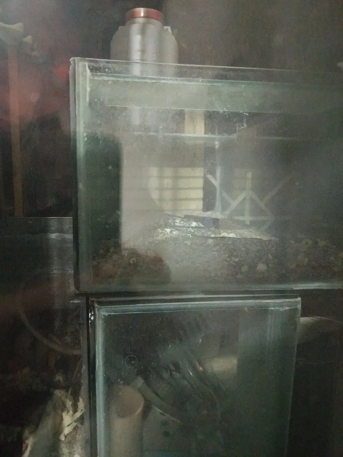 اکواریوم یک متری شیشه ۱۰ میل|ماهی|پرند, فاز ۶|دیوار