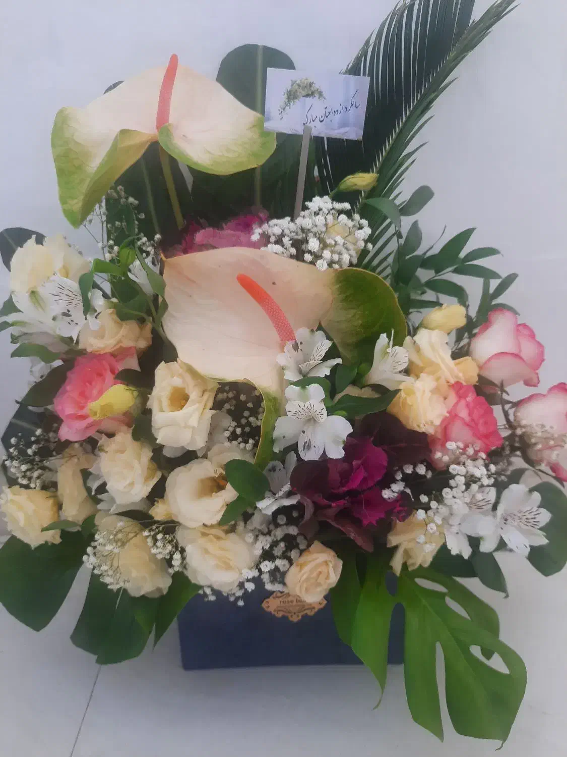 باکس گل طبیعی|گل و گیاه طبیعی|مشهد, خواجه ربیع|دیوار