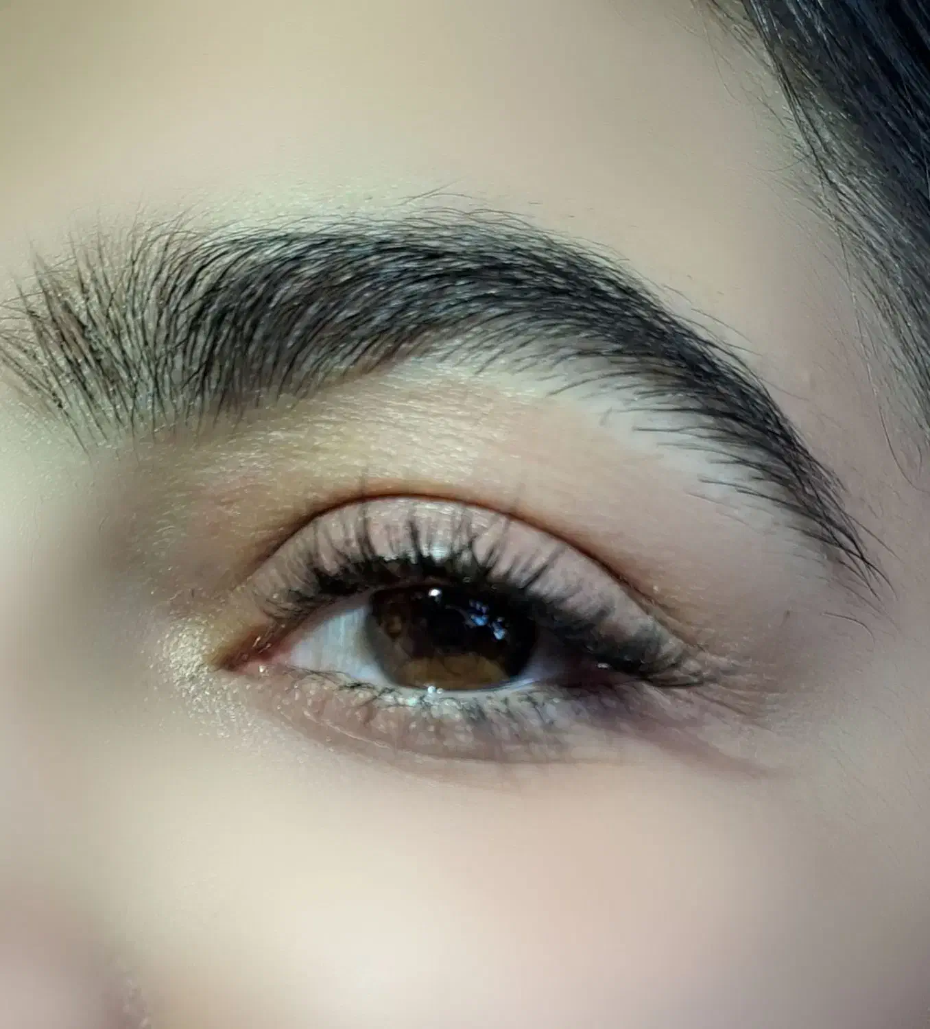 تمامی خدمات مژه و ابرو|خدمات آرایشگری و زیبایی|کرمانشاه, |دیوار