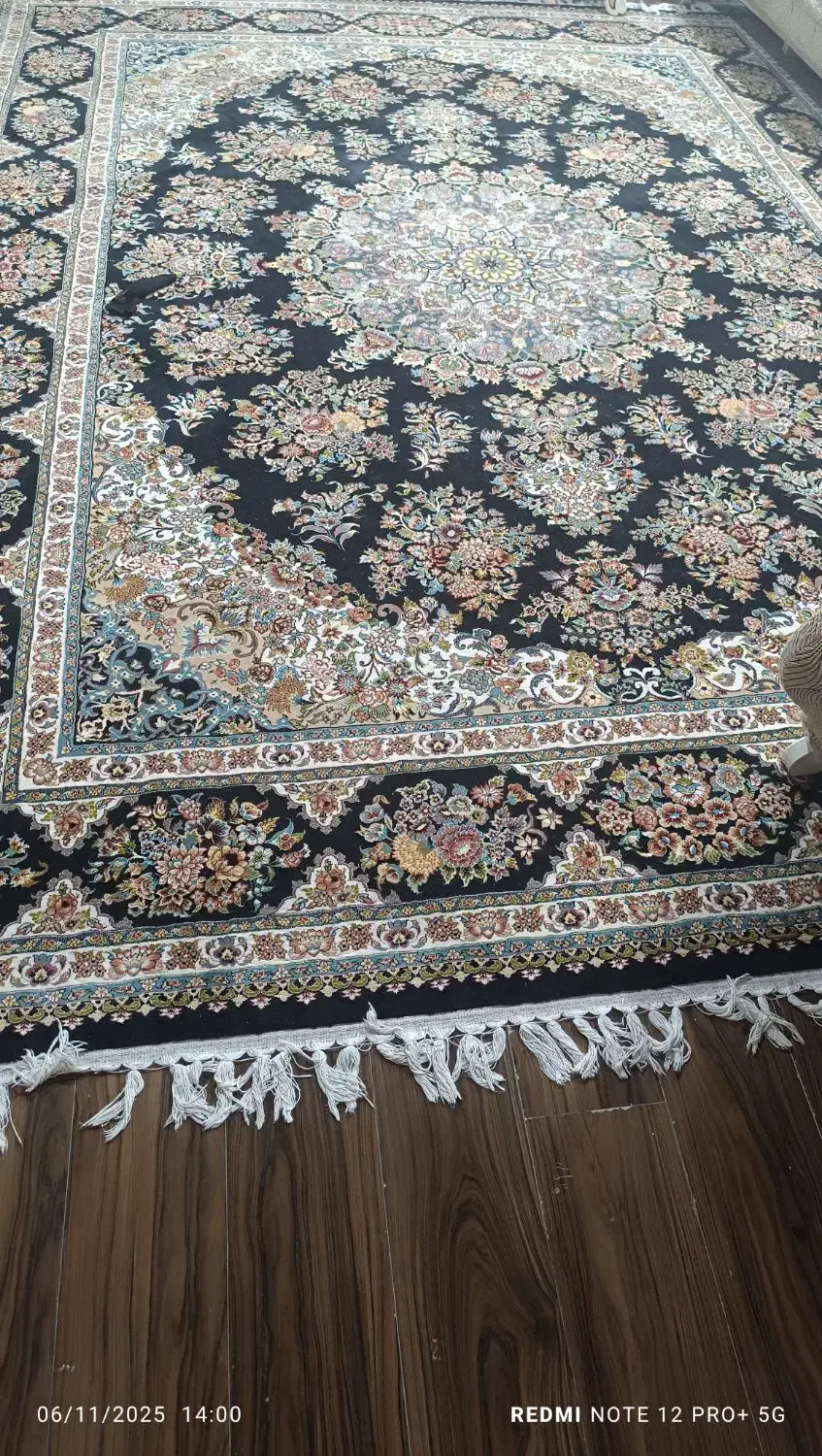 فروش|فرش|بندرعباس, |دیوار