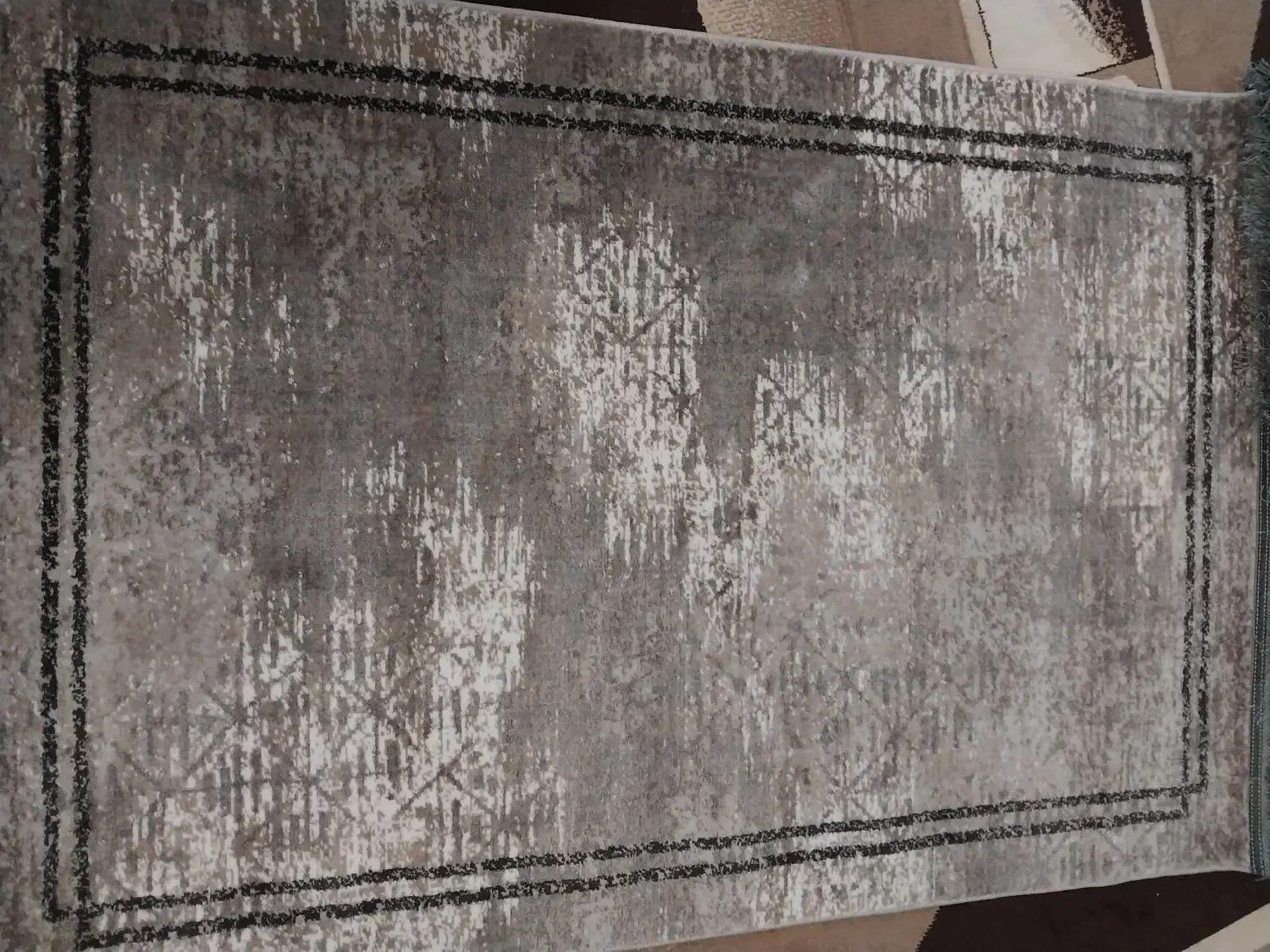 فرش|فرش|شیراز, گلشن|دیوار