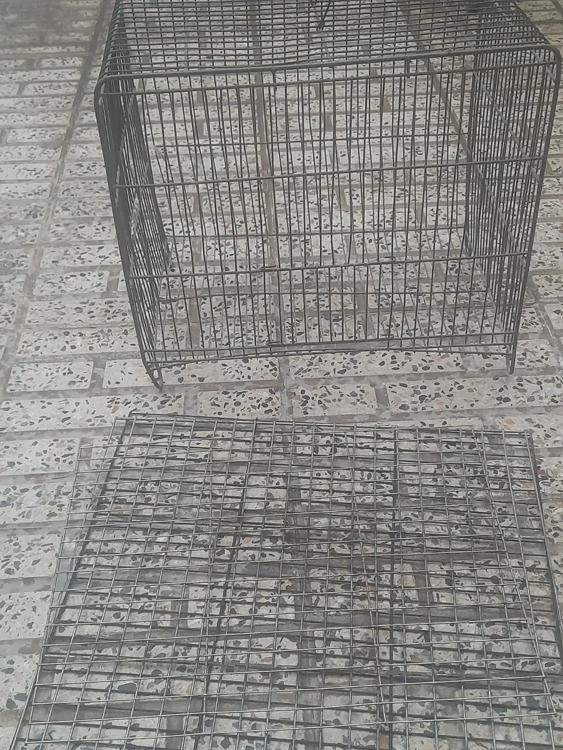 قفس فروشی|لوازم جانبی حیوانات|قلعه نو, |دیوار