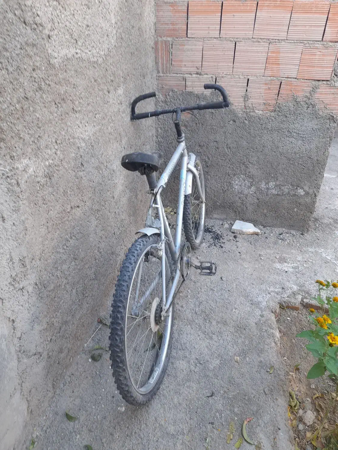 دوچرخه ۲۶ دماوند|دوچرخه، اسکیت، اسکوتر|اسفراین, |دیوار