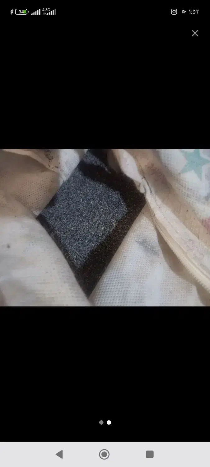 بذر عالی|گل و گیاه طبیعی|الیگودرز, |دیوار