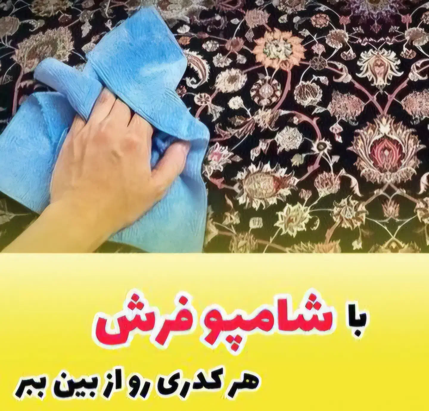 شامپو فرش و مبل نانو|مواد شوینده و دستمال کاغذی|تبریز, |دیوار