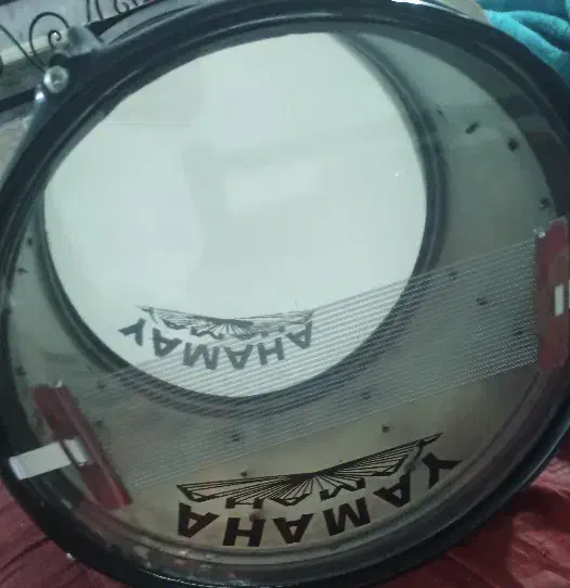 طبل|درام و پرکاشن|پارس‌آباد, |دیوار