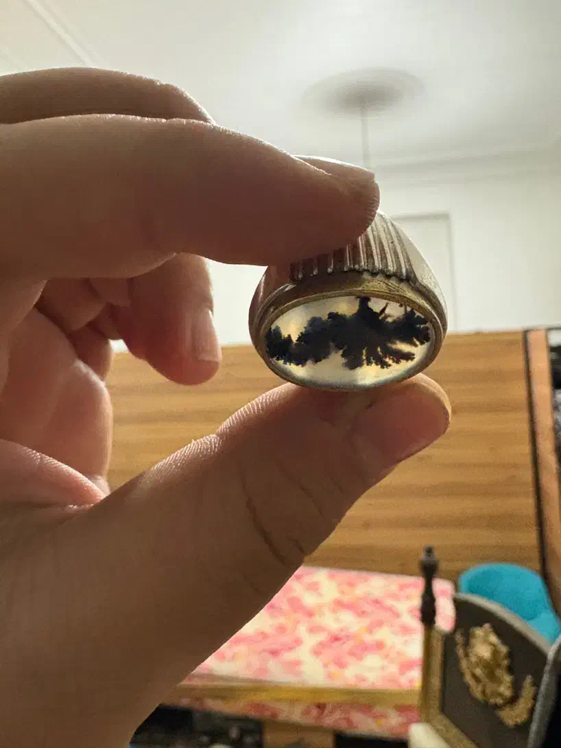 انگشترشجرطرح مارمولک مصورخاص فوق کلکسیونی دست ساز|جواهرات|سیرجان, |دیوار