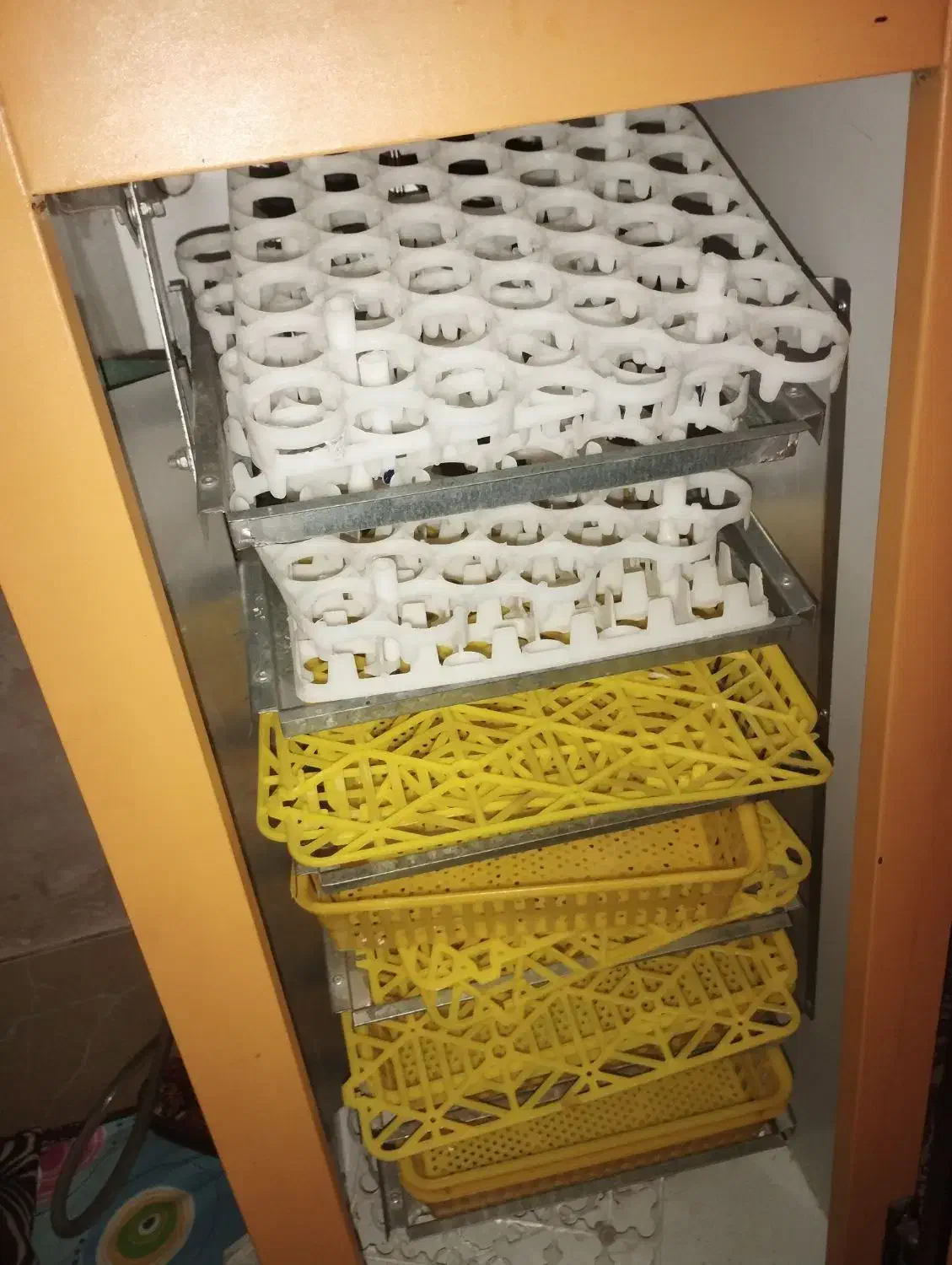 دستگاه جوجه کشی ۲۵۲ تایی سیمرغ|ماشینآلات صنعتی|سپیدان, |دیوار