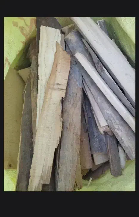 چوب و هیزم|لوازم جانبی حیوانات|مشهد, قائم|دیوار