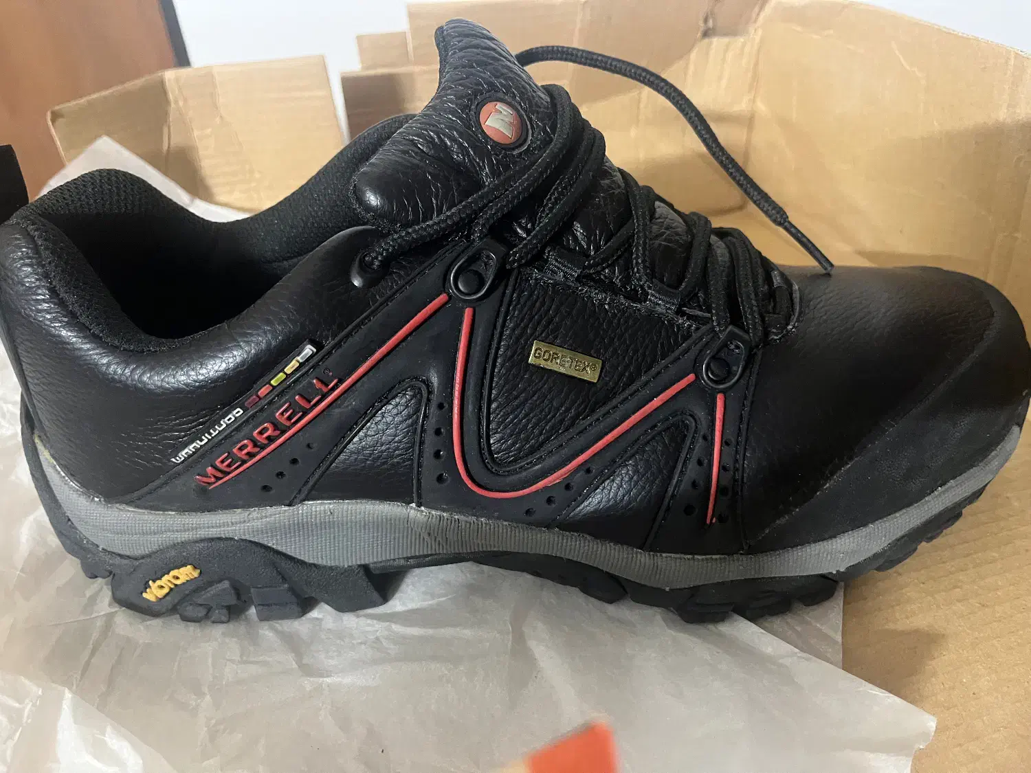 کفش مرل|کوهنوردی و کمپینگ|تربت جام, المهدی|دیوار