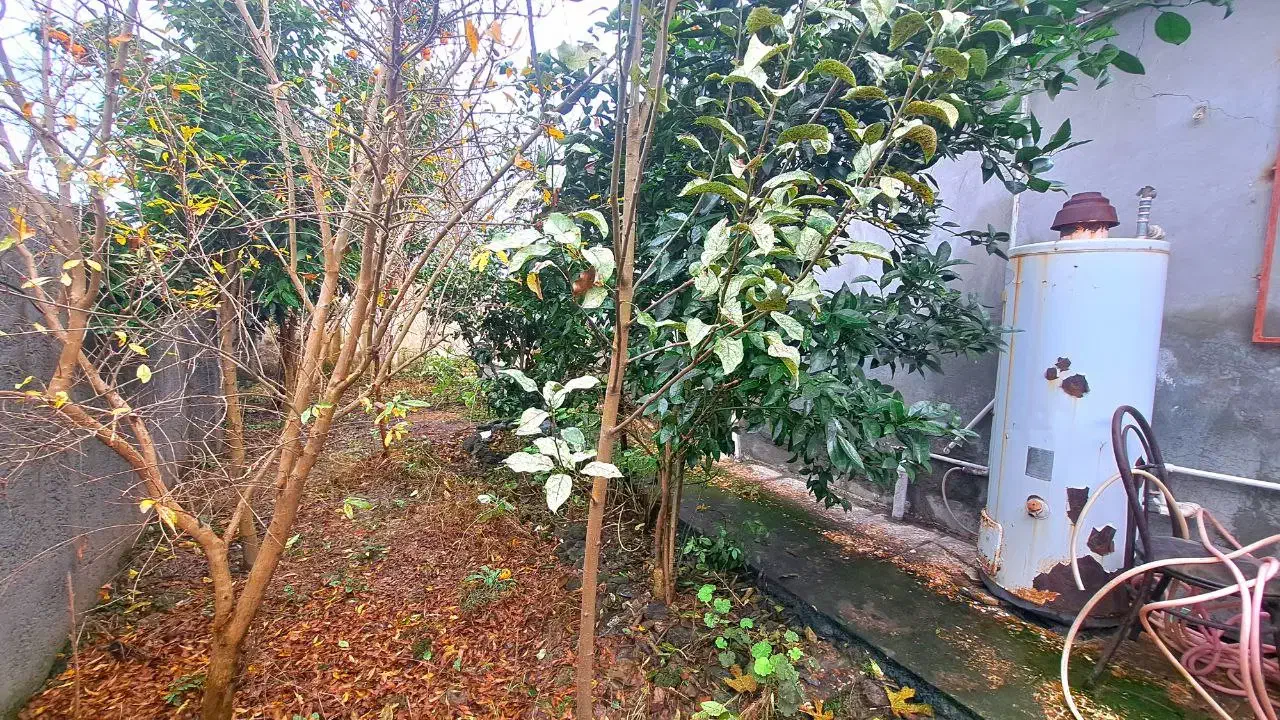 نیم پیلوت حیاط دار با درختان میوه چند ساله|فروش خانه و ویلا|تهران, افسریه شمالی|دیوار