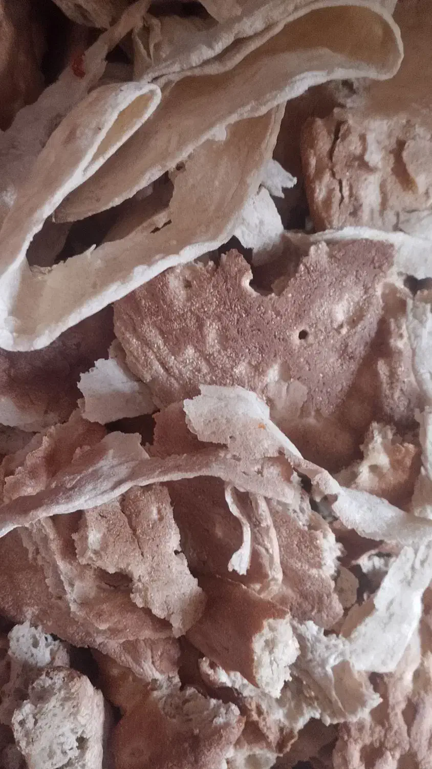 نان خشک خانگی|عمده‌فروشی|بیرجند, |دیوار