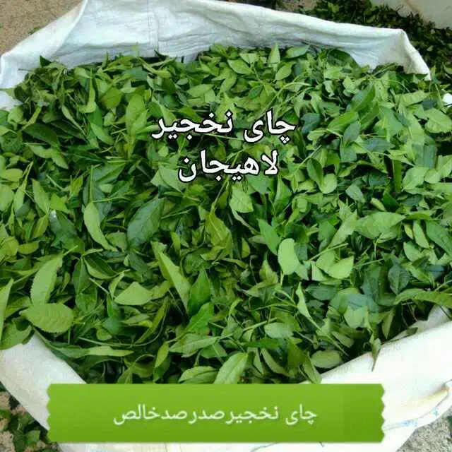 چای صدرصد ارگانیک ایرانی|خوردنی و آشامیدنی|قم, چهار مردان|دیوار