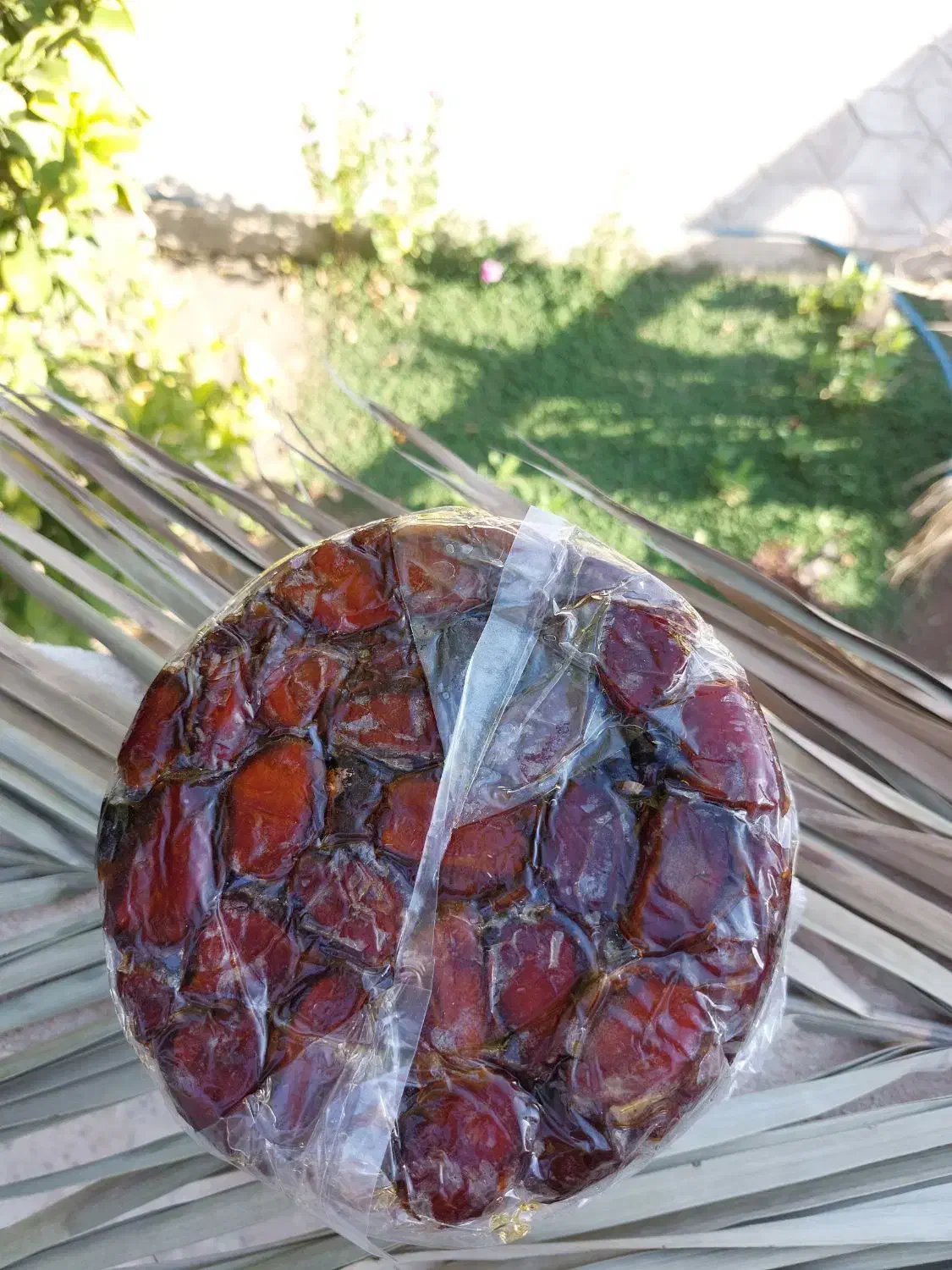 خرما کبکاب دستچین شده دشتستان|خوردنی و آشامیدنی|تهران, زعفرانیه|دیوار