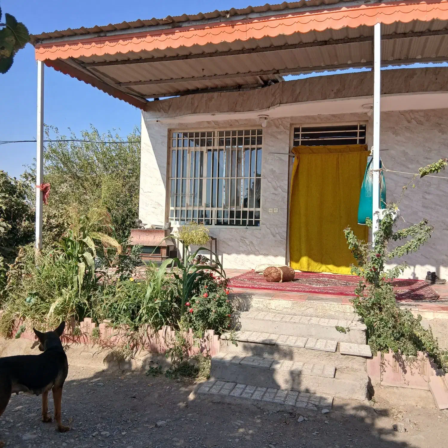 خانه مسکونی همراه با دامداری|فروش خانه و ویلا|نیشابور, منظر|دیوار