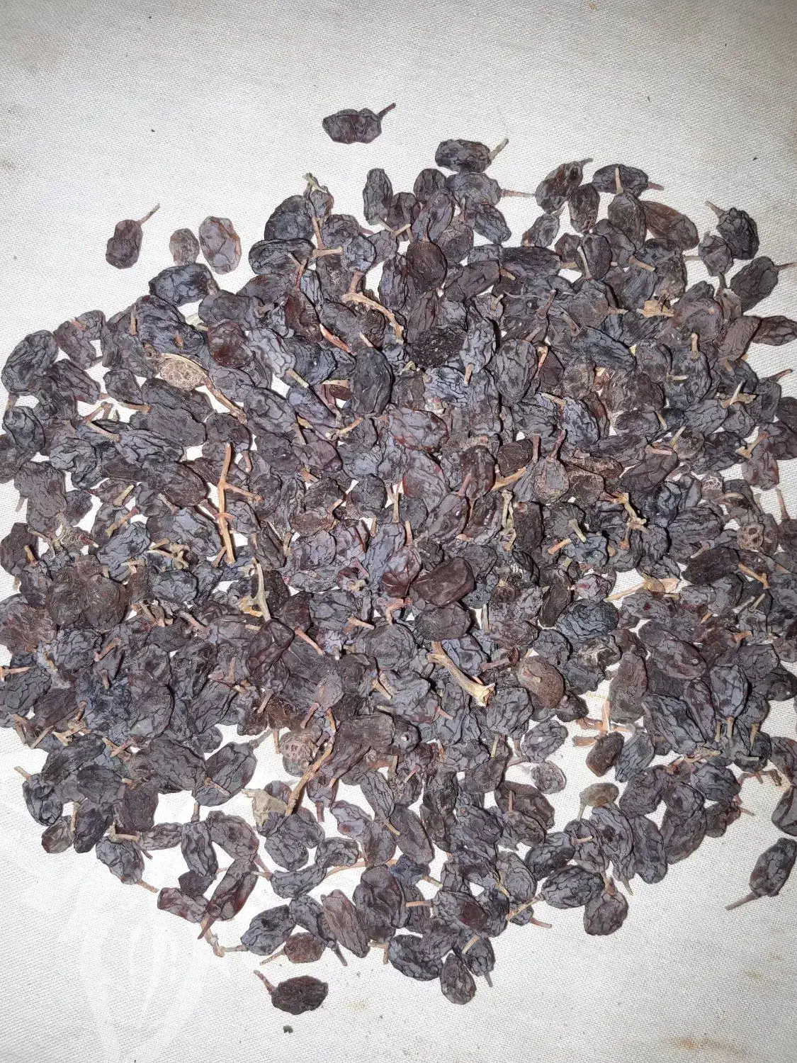 کشمش آفتابی|خوردنی و آشامیدنی|تهران, راه آهن|دیوار