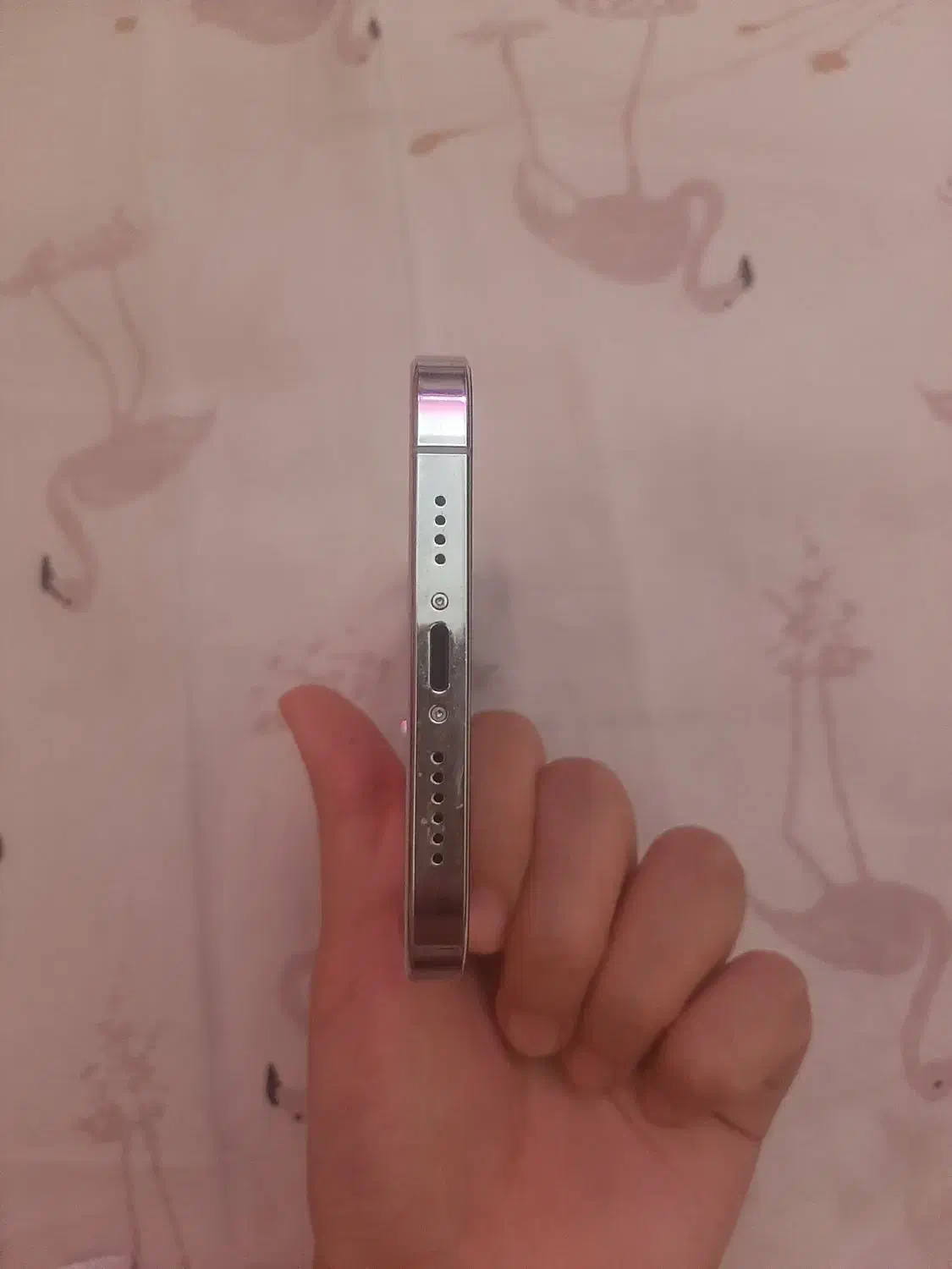 موبایل آیفون ۱۲ پروکس فیک|موبایل|زنجان, |دیوار