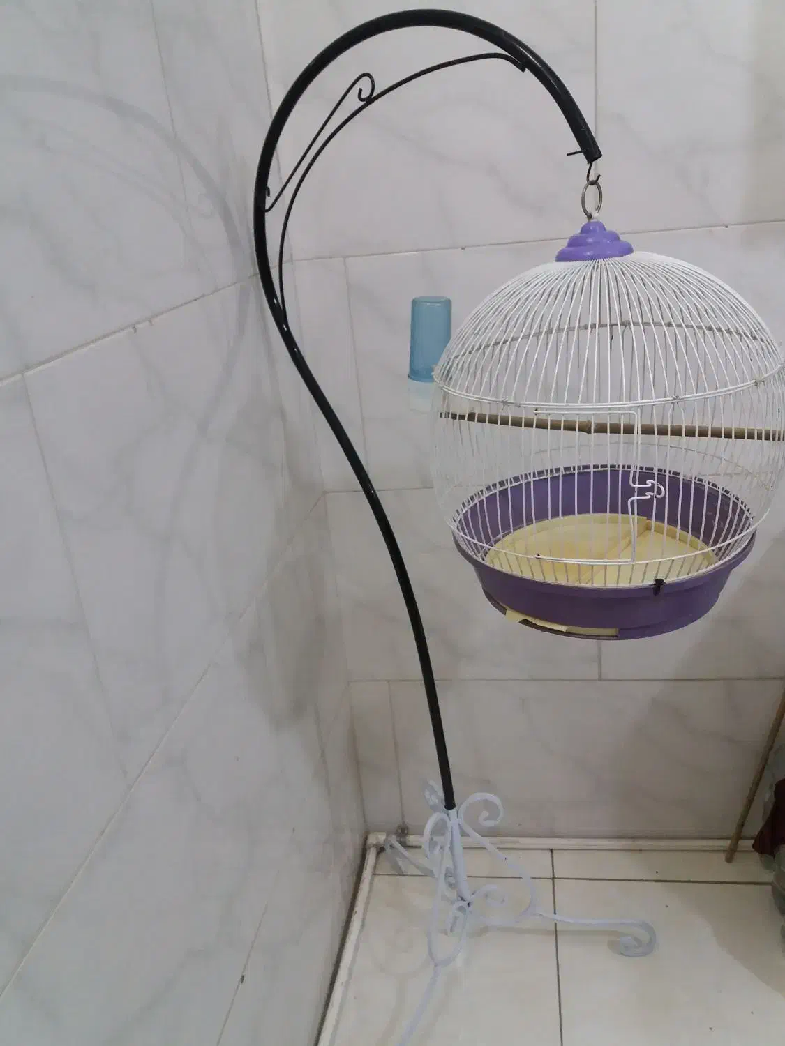 قفس|لوازم جانبی حیوانات|شهریار, شهرک بهاران (ویره)|دیوار