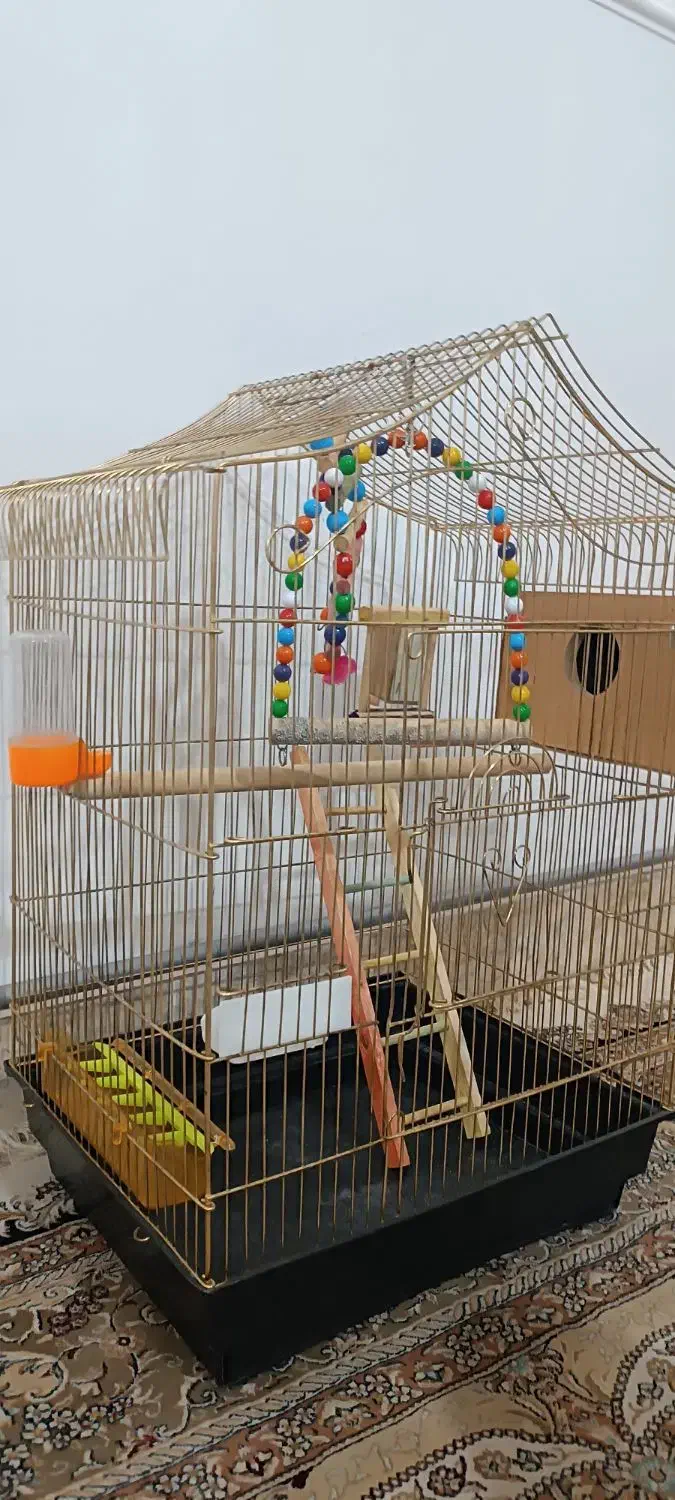 فروش قفس پرنده|لوازم جانبی حیوانات|جلفا, |دیوار