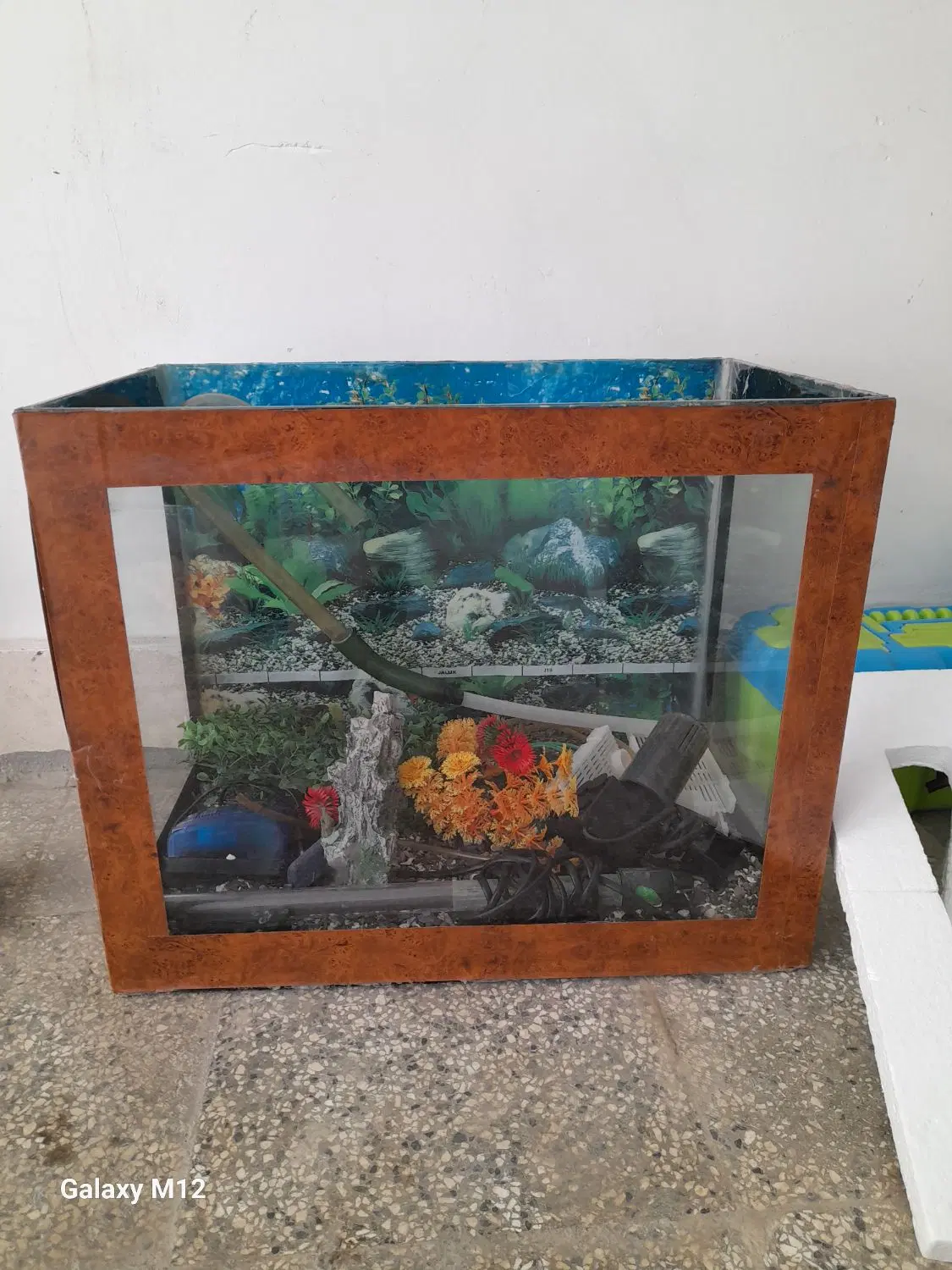 آکواریوم|ماهی|شیروان (خراسان), |دیوار