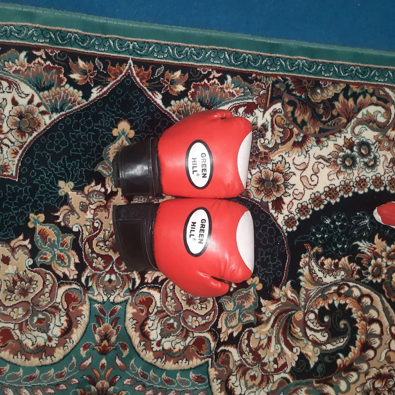 دستکش بوکس|تجهیزات ورزشی|قوچان, |دیوار