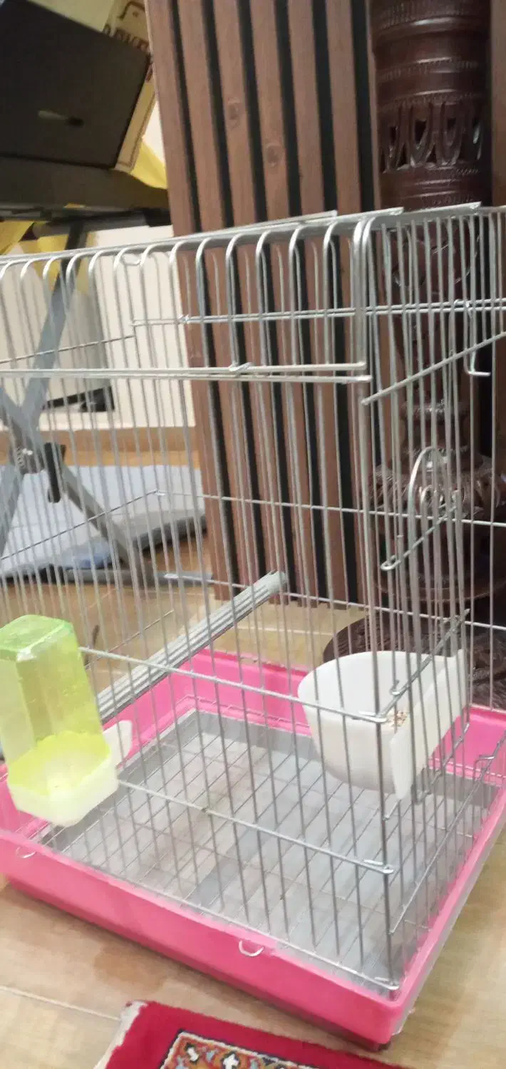 قفس نو وضخیم|لوازم جانبی حیوانات|زنجان, |دیوار