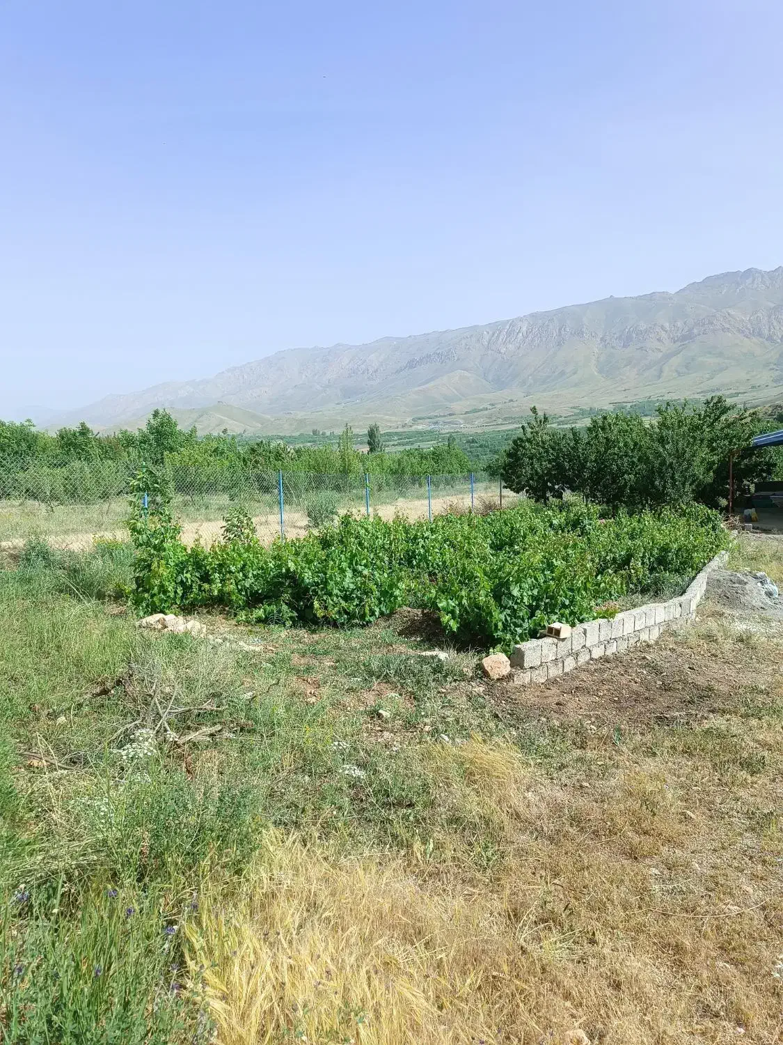فروش باغ در فریدونشهر|فروش زمین و ملک کلنگی|فریدونشهر, |دیوار