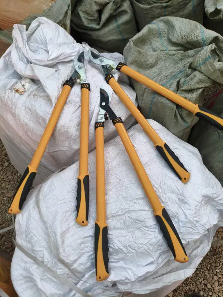 قیچی و اره دستی مخصوص هرس|ابزارآلات|بروجرد, |دیوار