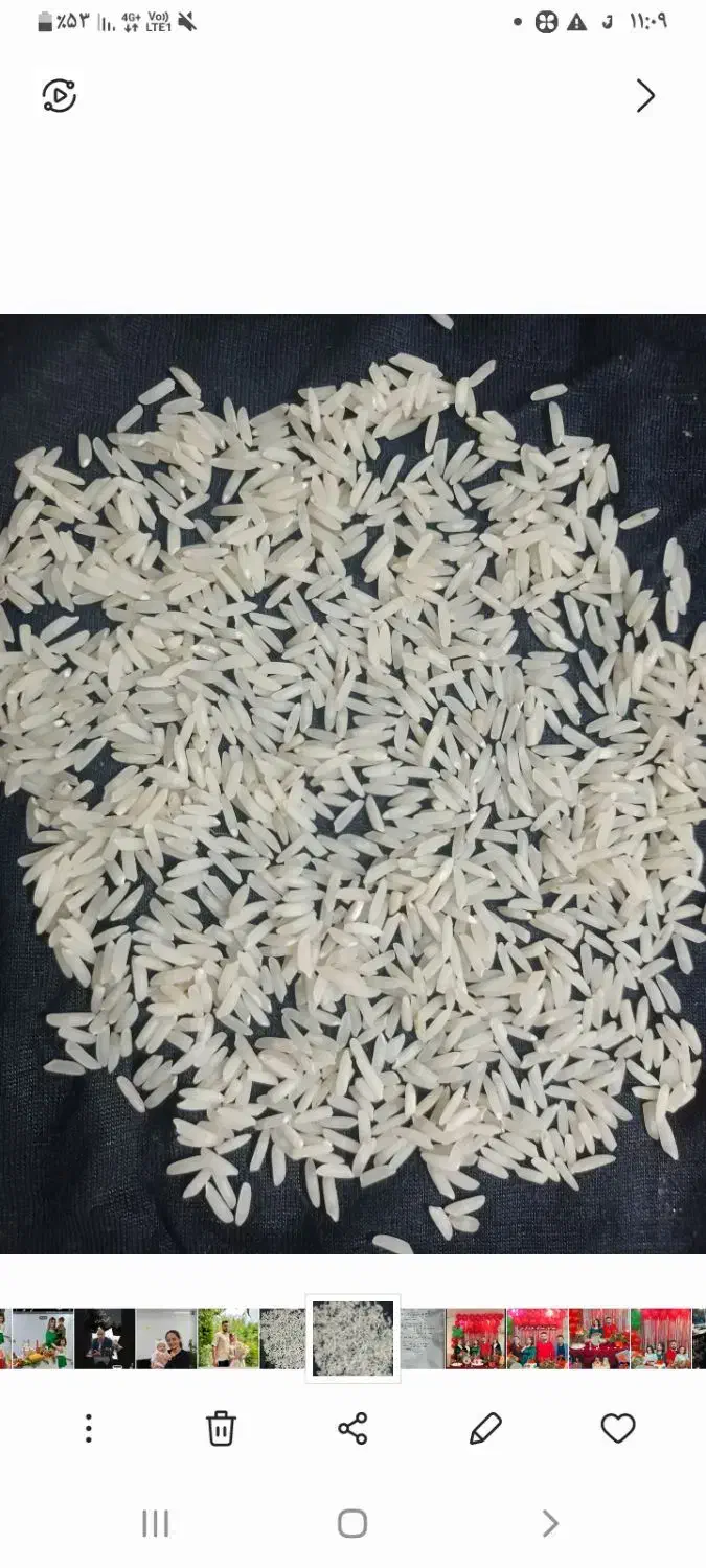 برنج هاشمی|خوردنی و آشامیدنی|رشت, لاکان|دیوار