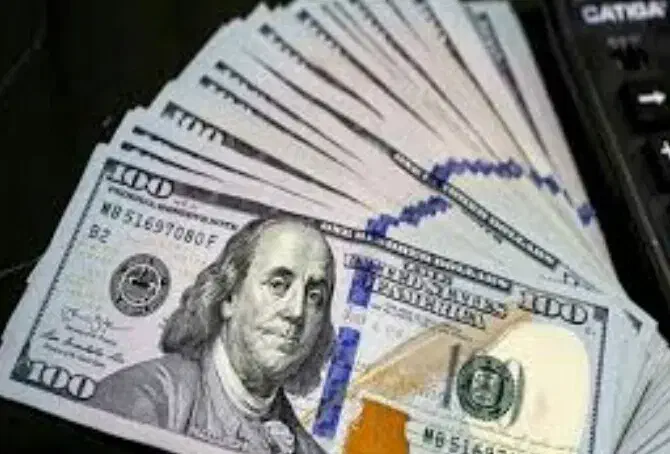 تحقیقات دلار آلیام|فعالیت داوطلبانه|اردبیل, |دیوار