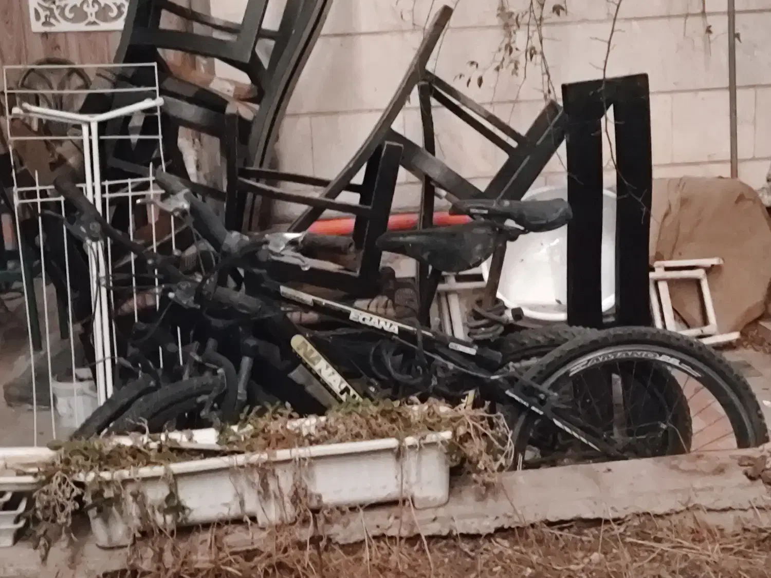 دوچرخه ناسا|دوچرخه، اسکیت، اسکوتر|مشهد, دانشجو|دیوار