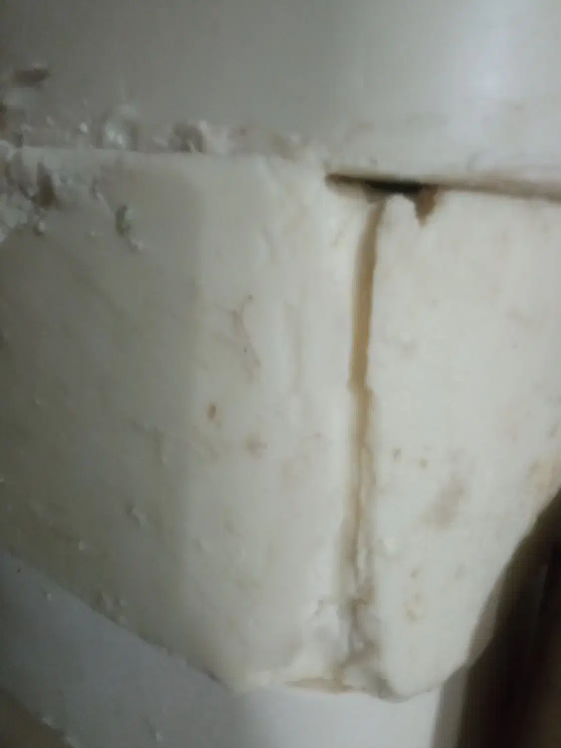 روغن پیه گاو|مواد شوینده و دستمال کاغذی|تربت‌حیدریه, پائین ولایت|دیوار