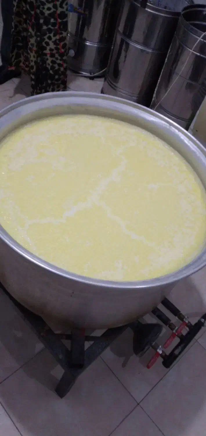 شیر گاو|خوردنی و آشامیدنی|اسکو, |دیوار