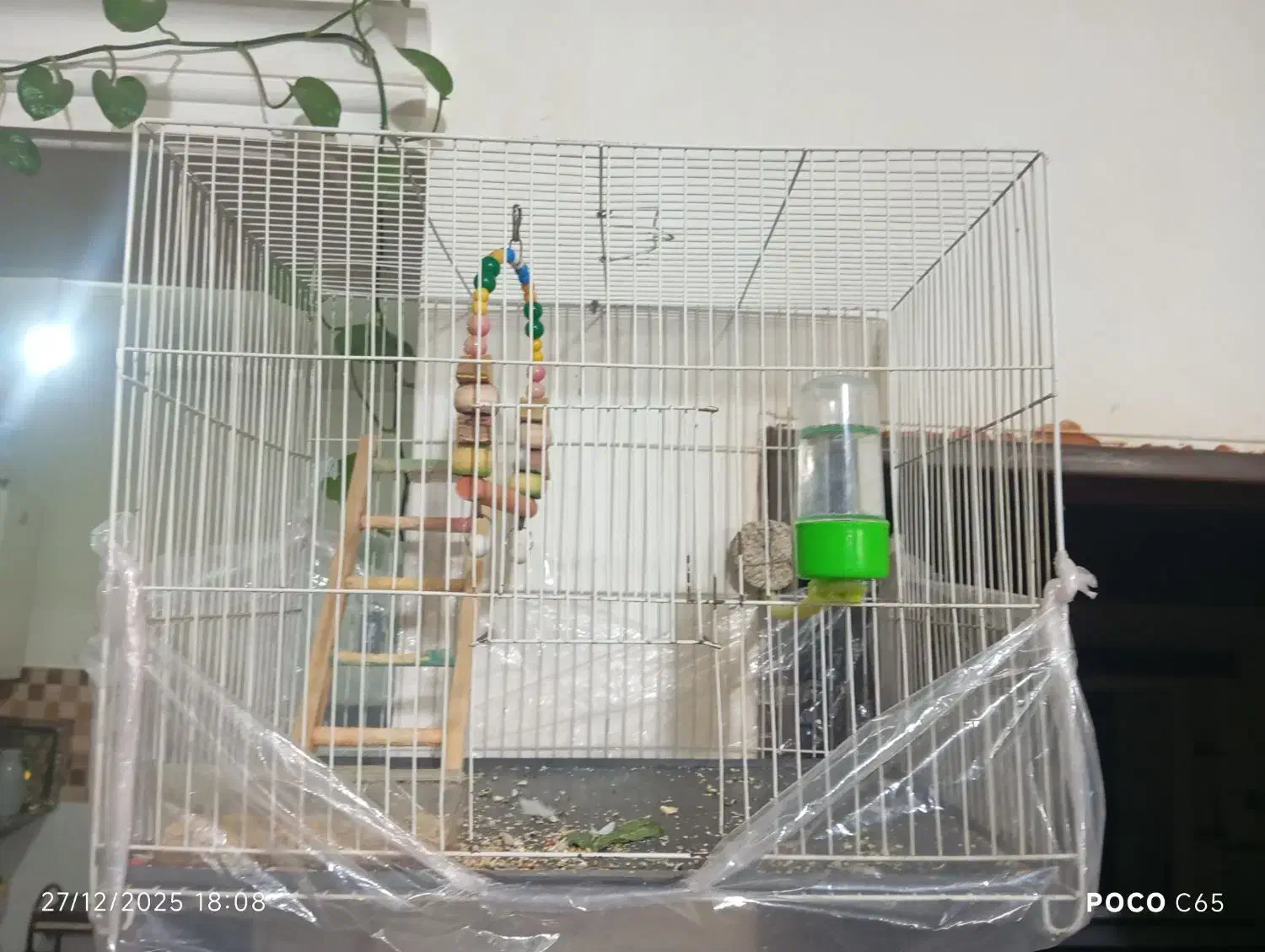 قفس|لوازم جانبی حیوانات|مشهد, شهید قربانی|دیوار