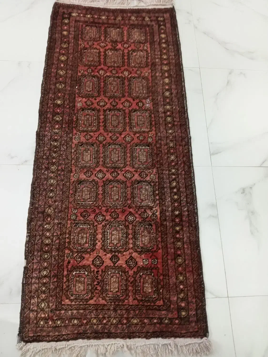 یه عدد|فرش|تربت‌حیدریه, داروپخش|دیوار