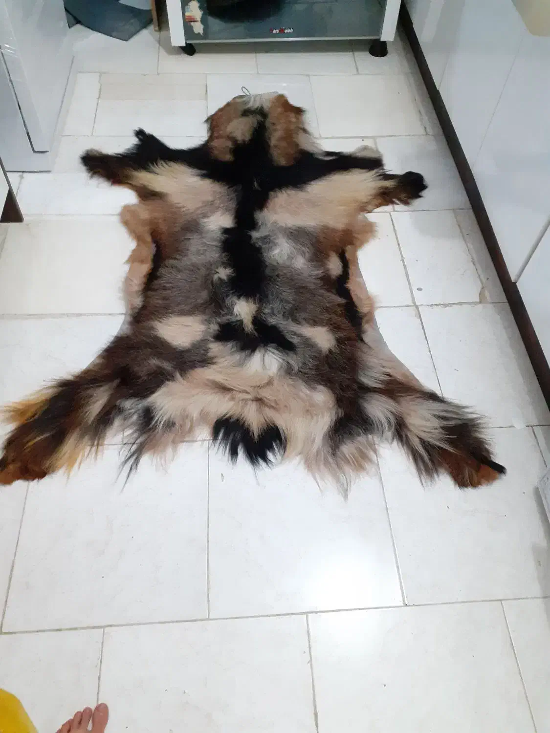 پادری پوست طبیعی|پادری|ملایر, |دیوار