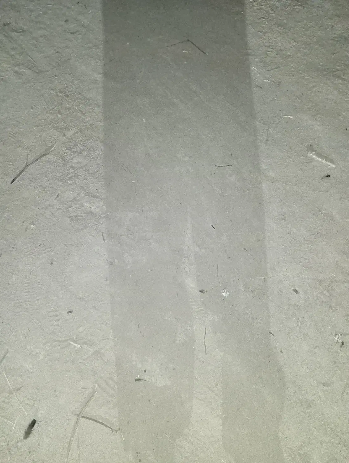 سیزده هکتار زمین کشاورزی با چاه و تلمبه (لایپه)|اجارهٔ دفتر صنعتی، کشاورزی، تجاری|شبانکاره, |دیوار