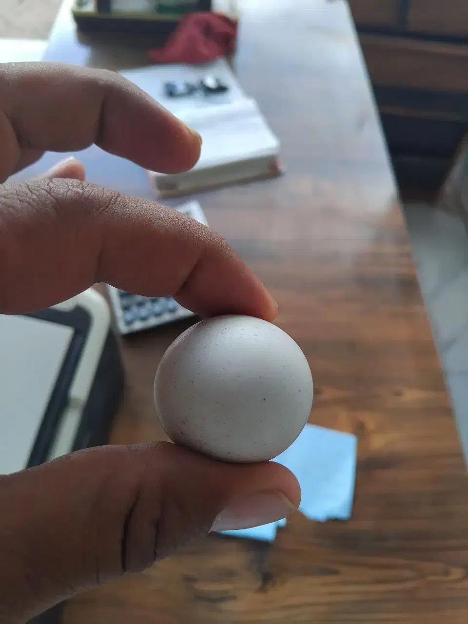 سنگ آسیاب اصل|کلکسیون اشیاء عتیقه|مشهد, آبکوه|دیوار