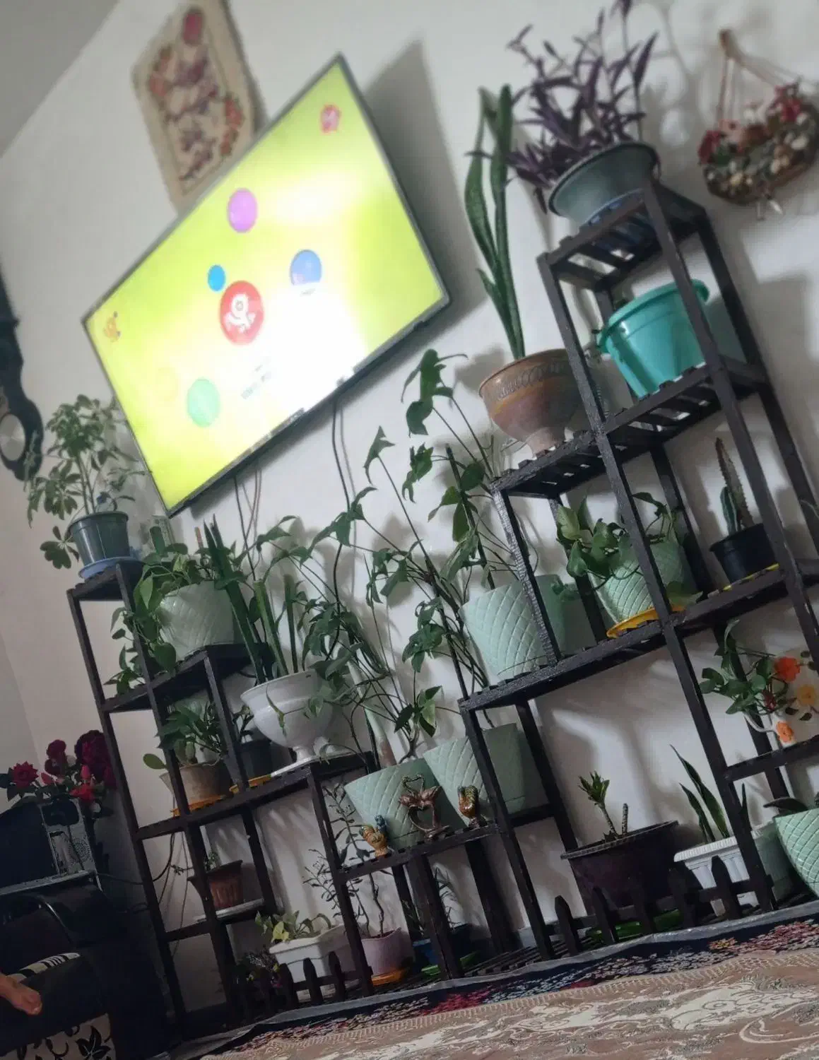 کمد و پایه ی گل|جاکفشی، کمد، دراور|قائن, |دیوار