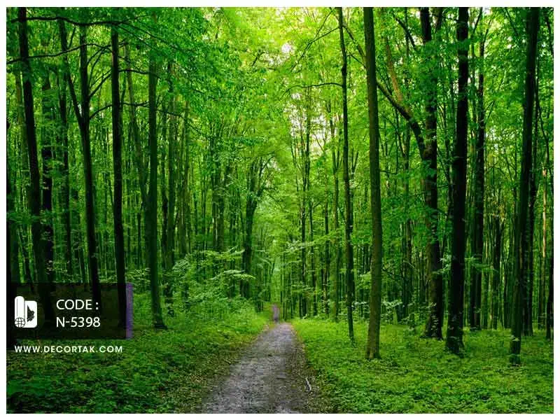 وام|خدمات مالی، حسابداری، بیمه|اسلام‌‌آباد غرب, |دیوار